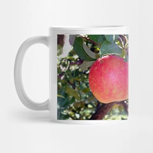 Honey Crisp Solo Mug